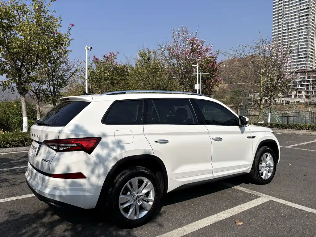 Skoda Kodiaq — фото 6