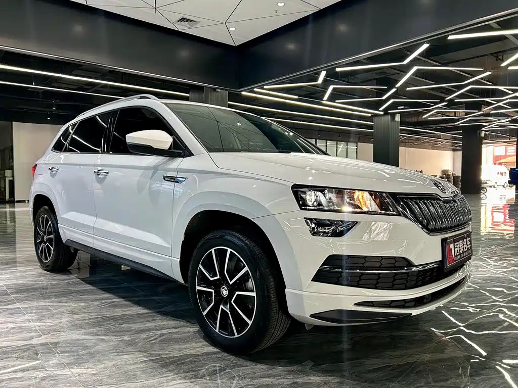 Skoda Karoq — фото 3