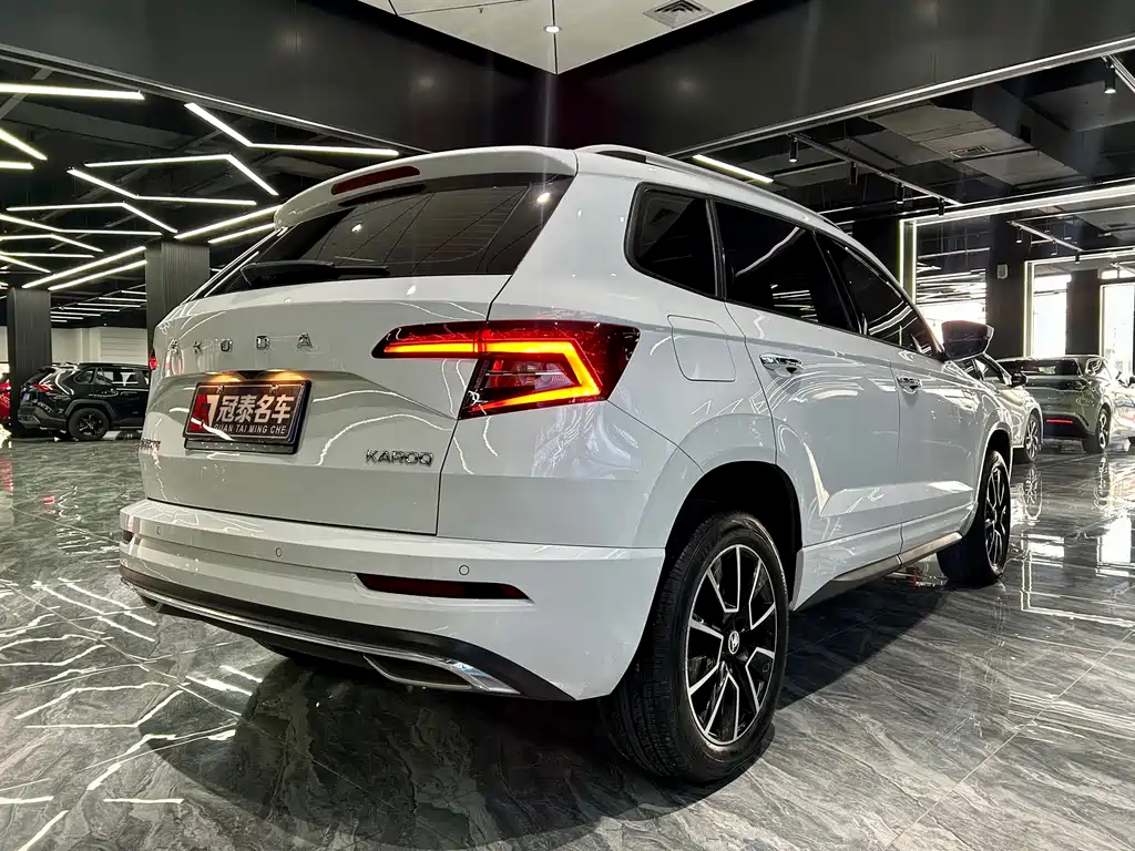 Skoda Karoq — фото 5