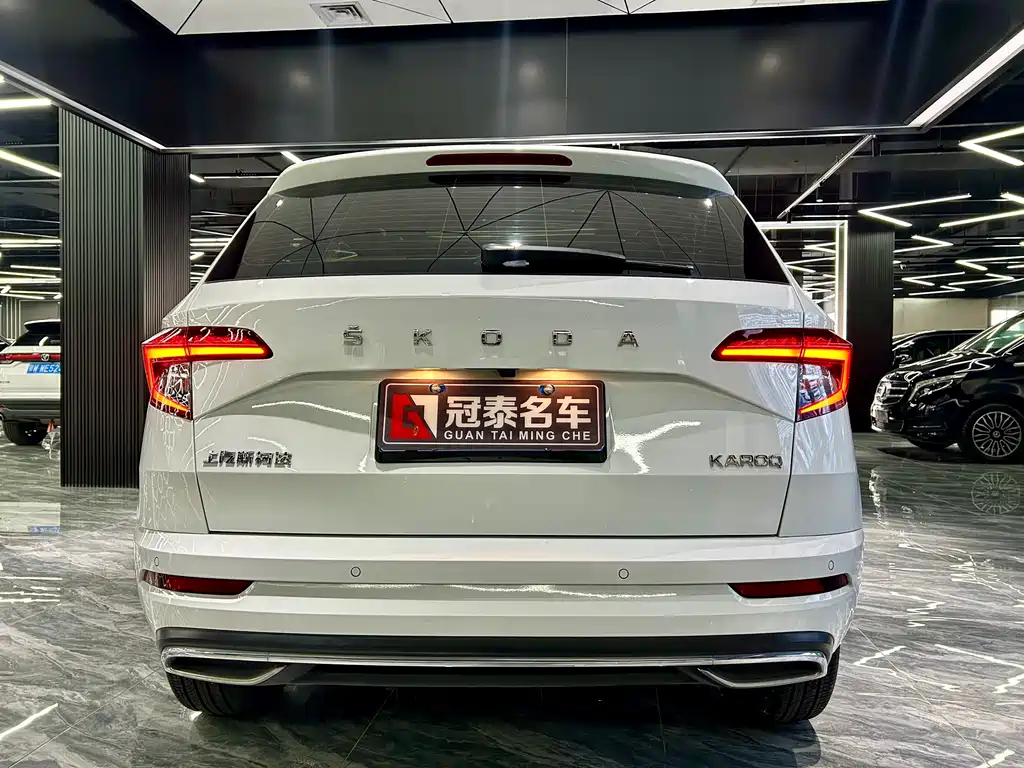 Skoda Karoq — фото 6