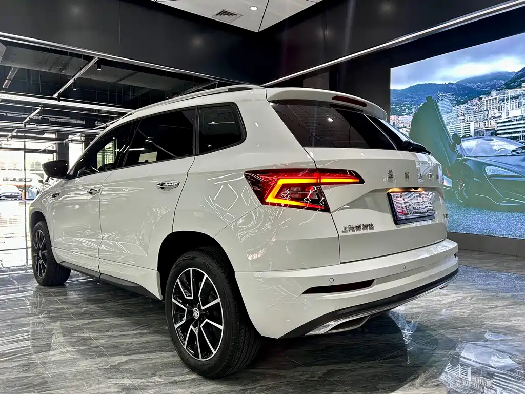 Skoda Karoq — фото 7