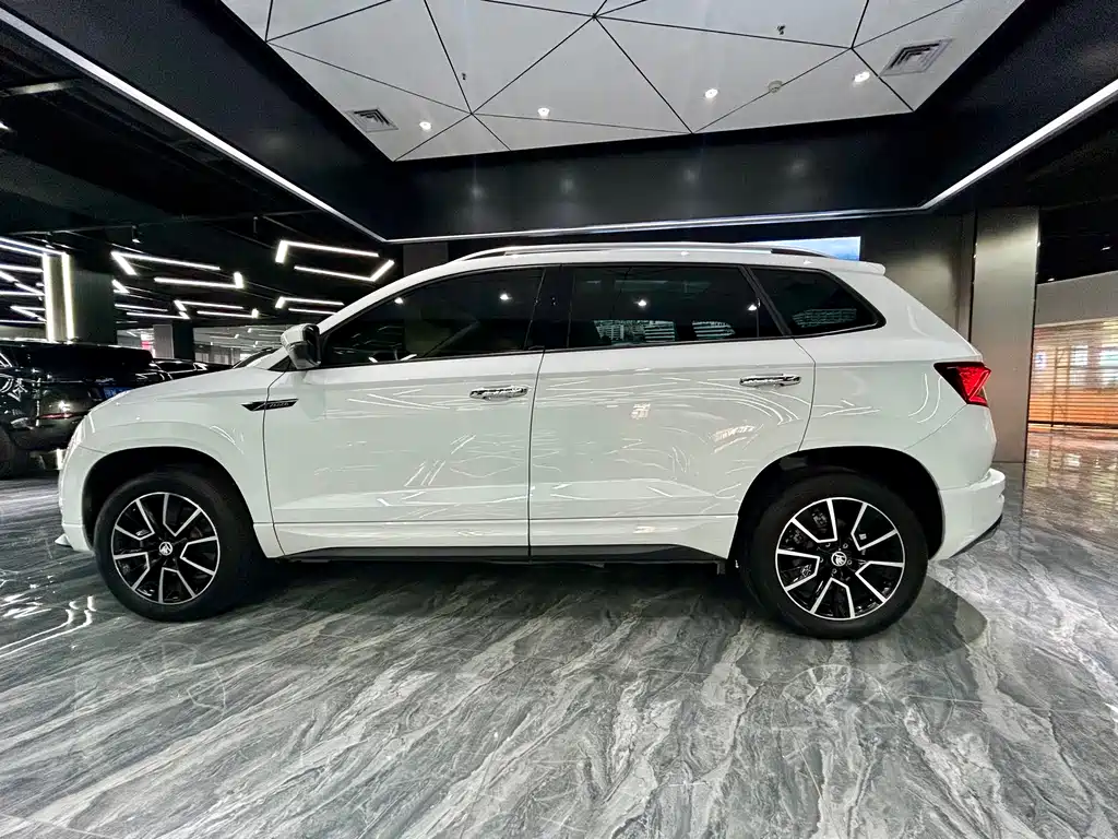 Skoda Karoq — фото 8