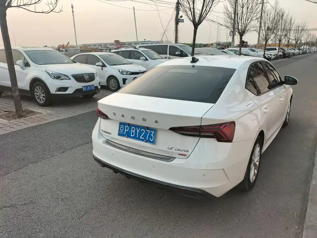 Skoda Octavia — фото 3