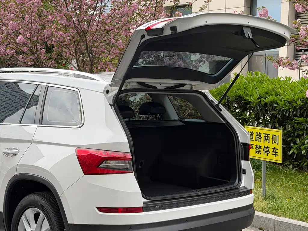 Skoda Kodiaq — фото 6