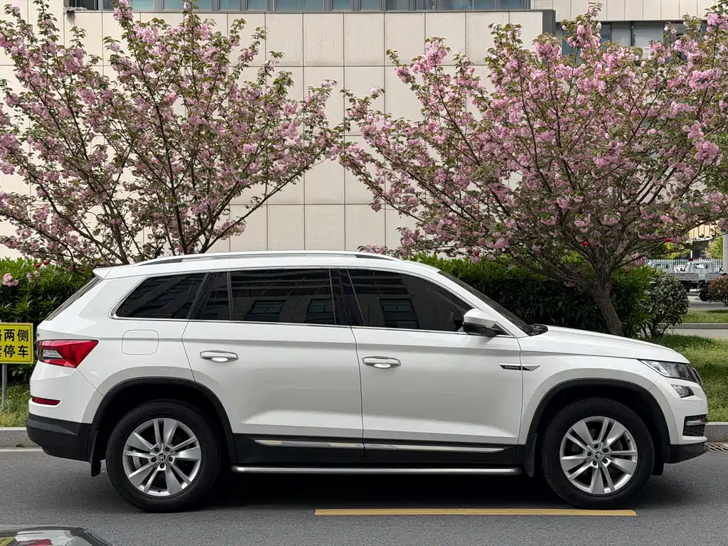 Skoda Kodiaq — фото 8