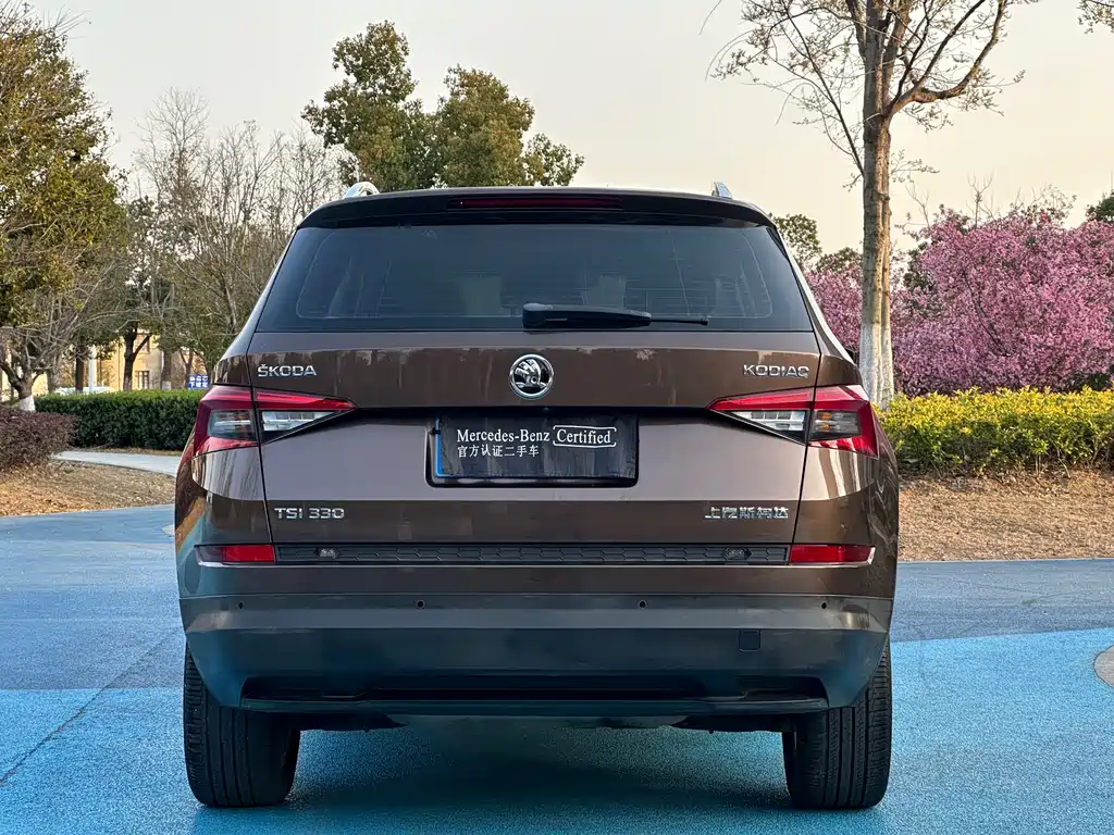Skoda Kodiaq — фото 9
