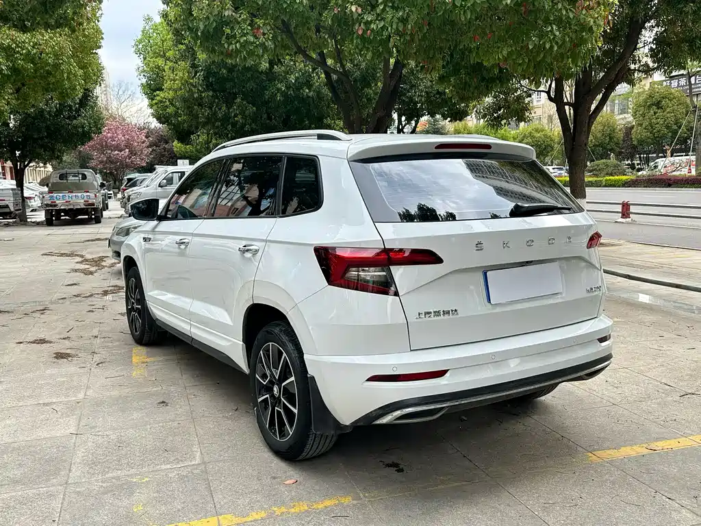 Skoda Karoq — фото 7