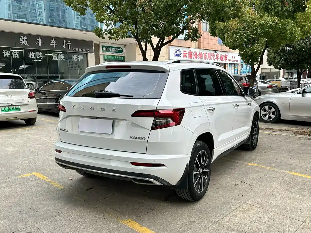 Skoda Karoq — фото 9
