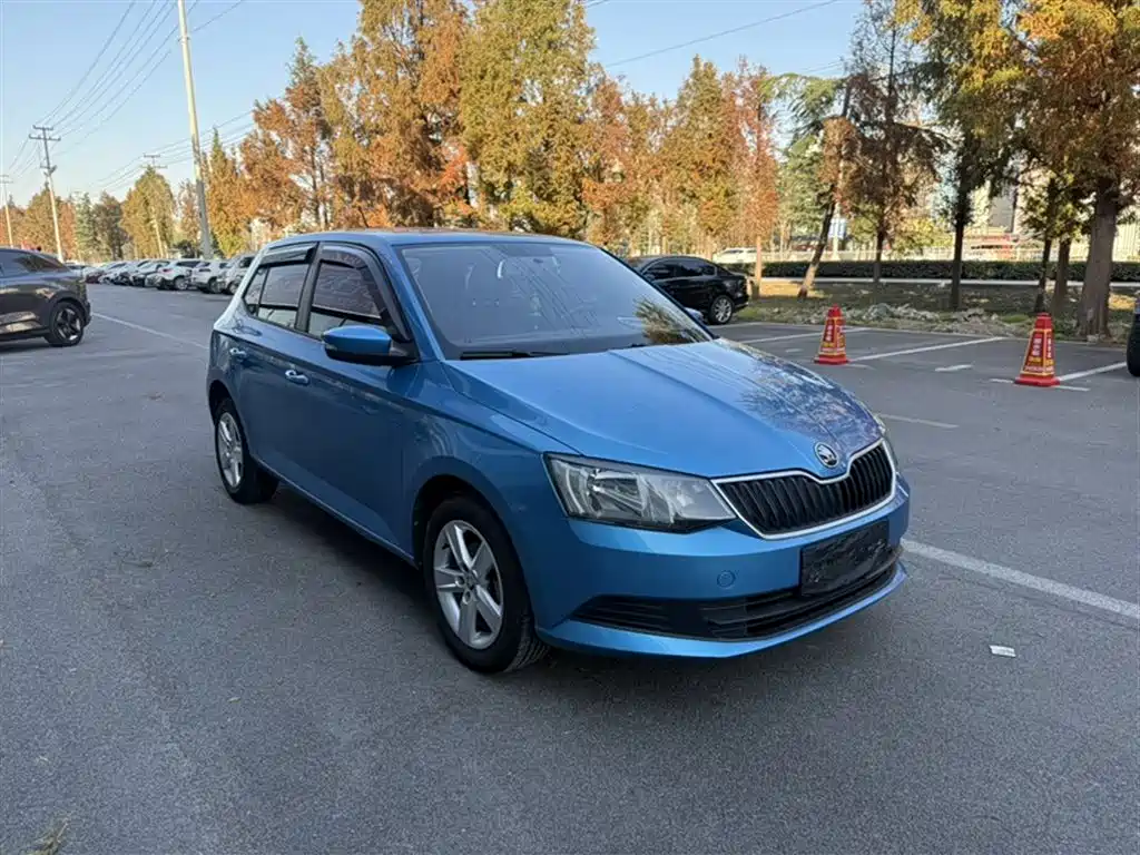 Skoda Fabia — фото 23