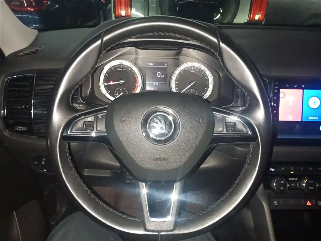 Skoda Kodiaq — фото 11