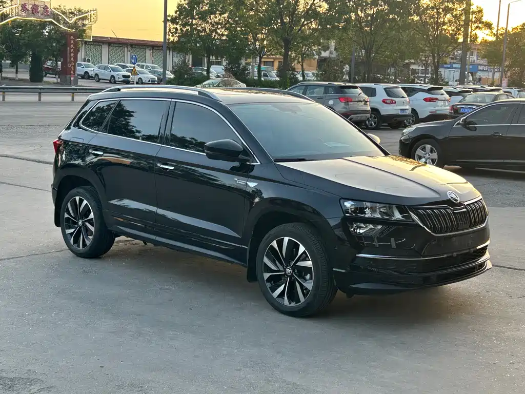 Skoda Karoq — фото 3