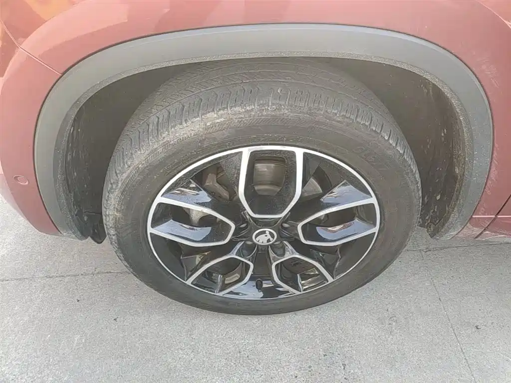Skoda Kodiaq GT — фото 21
