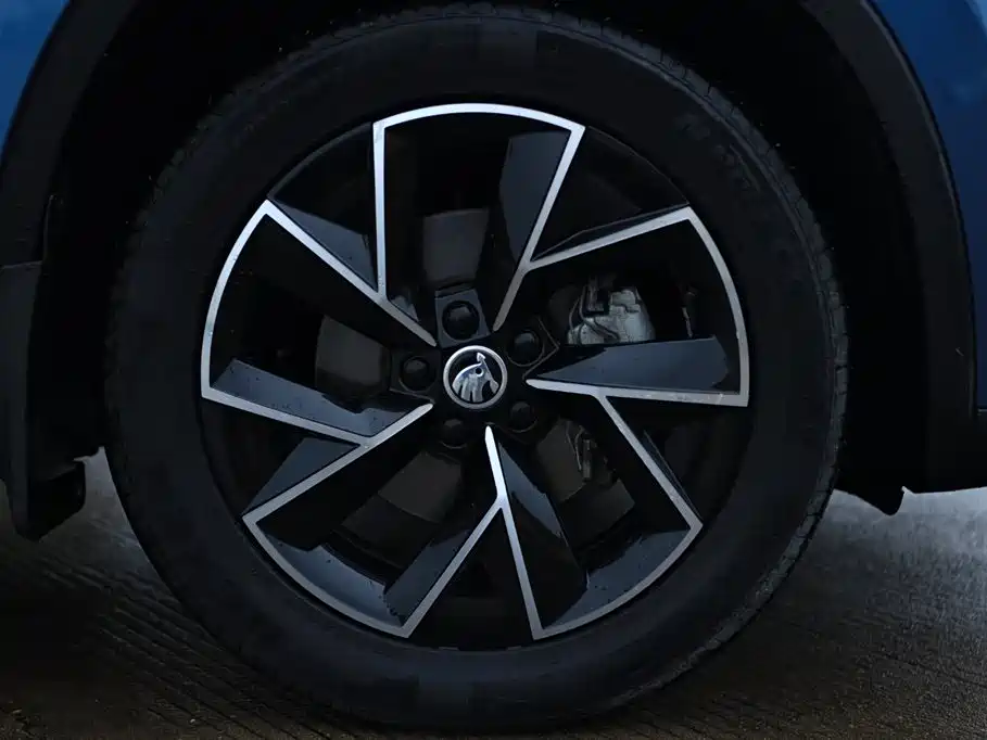 Skoda Kamiq — фото 10