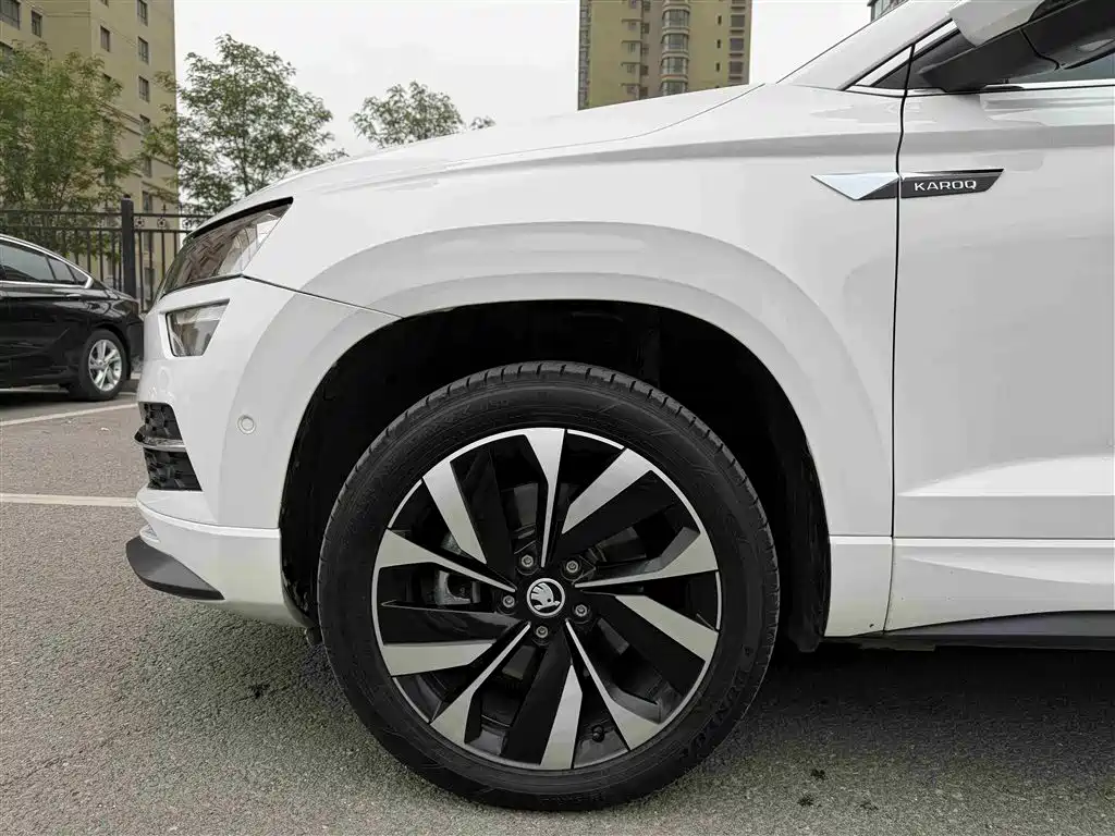 Skoda Karoq — фото 14