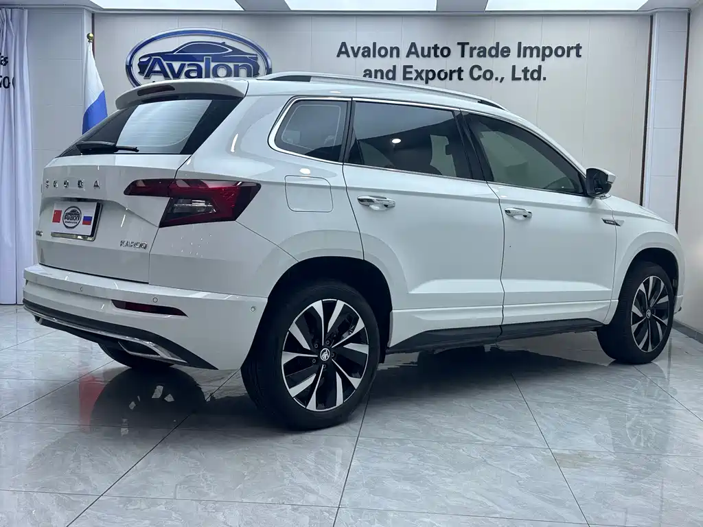 Skoda Karoq — фото 6