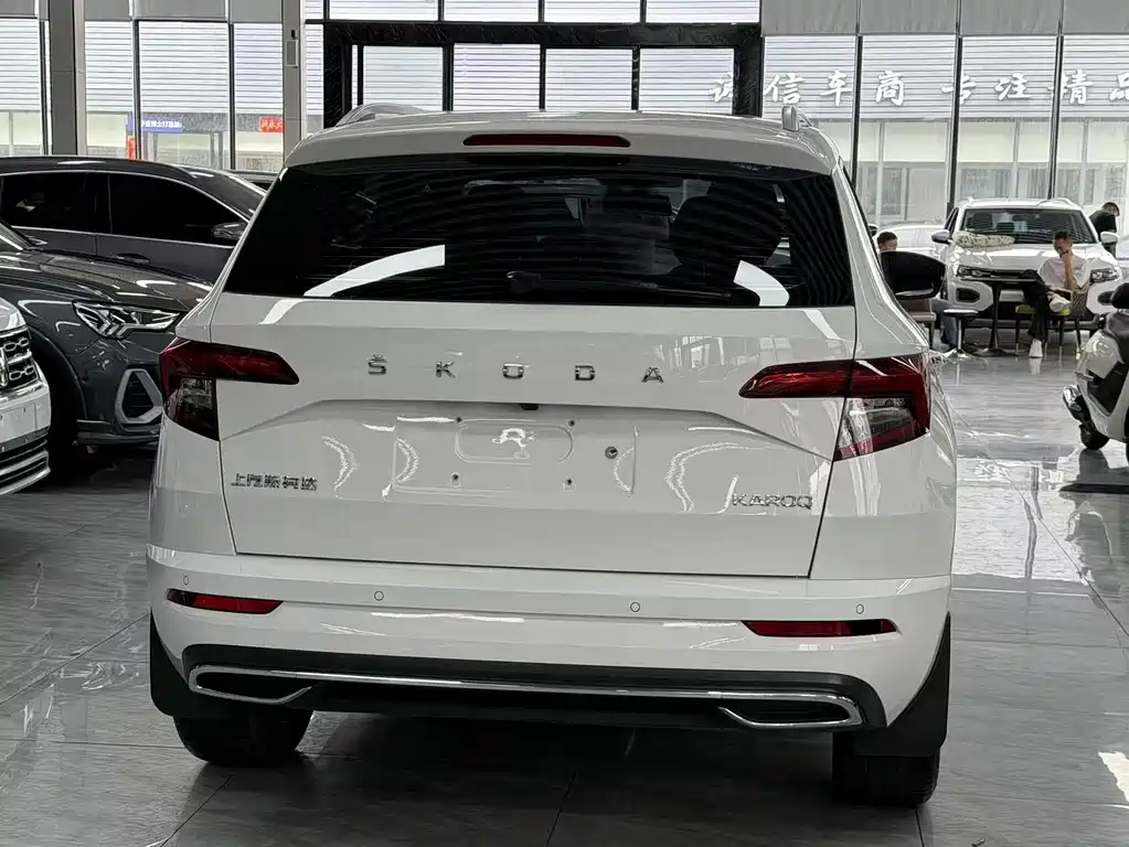 Skoda Karoq — фото 11