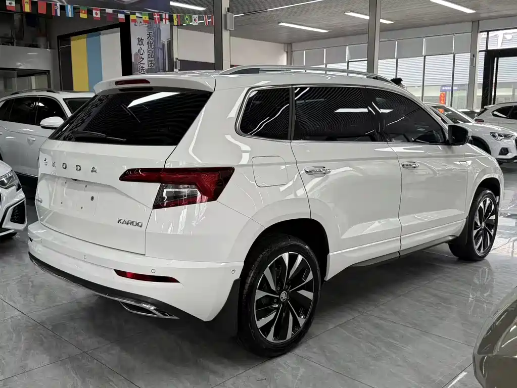 Skoda Karoq — фото 12