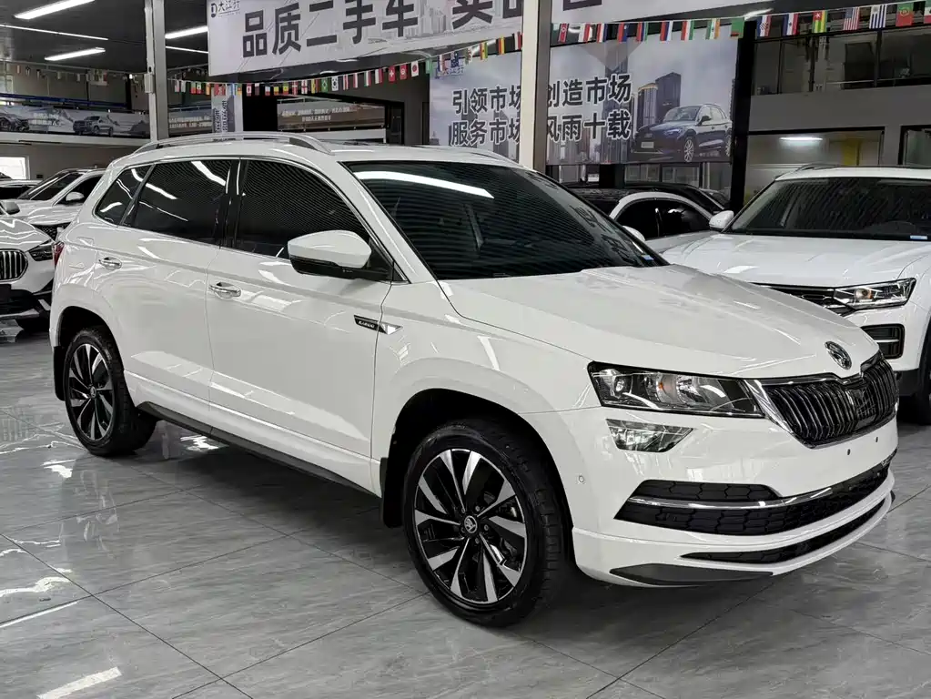 Skoda Karoq — фото 4