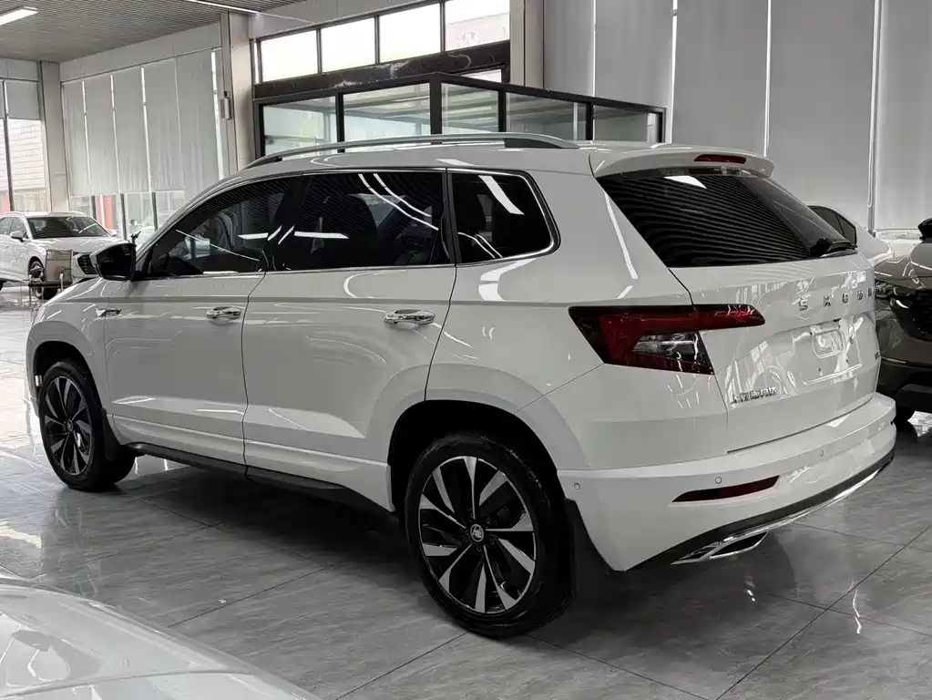 Skoda Karoq — фото 10