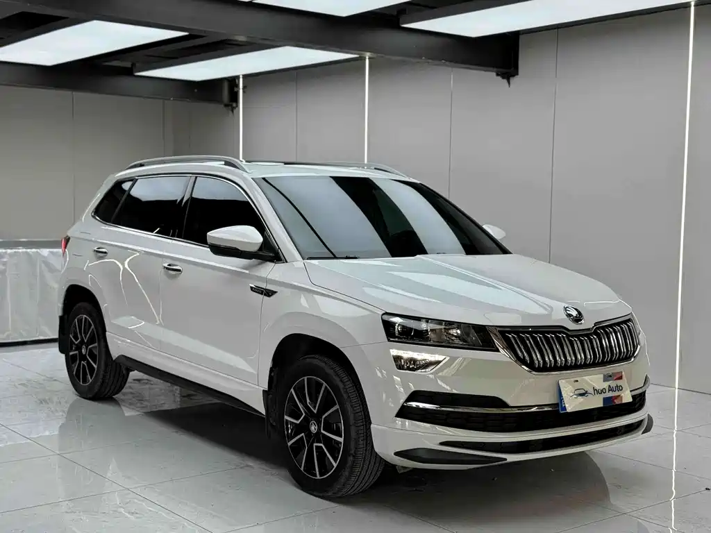 Skoda Karoq — фото 3