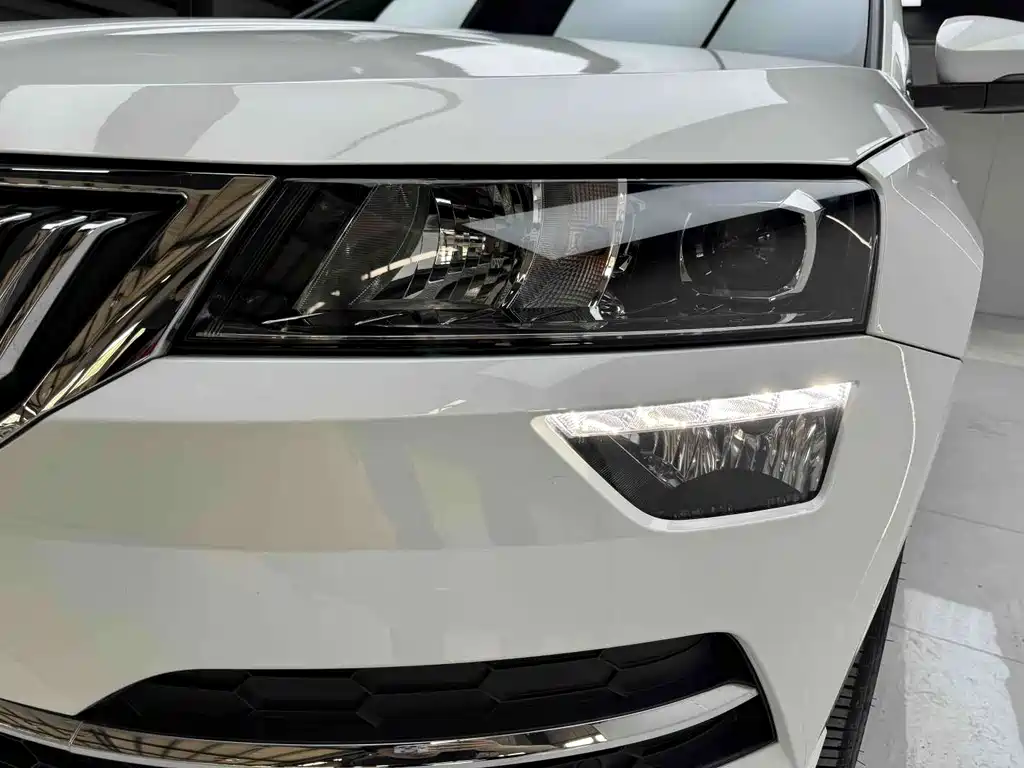 Skoda Karoq — фото 8