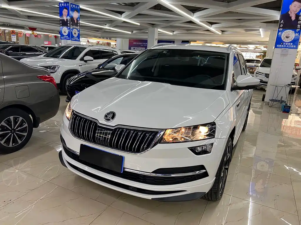 Skoda Karoq — фото 3
