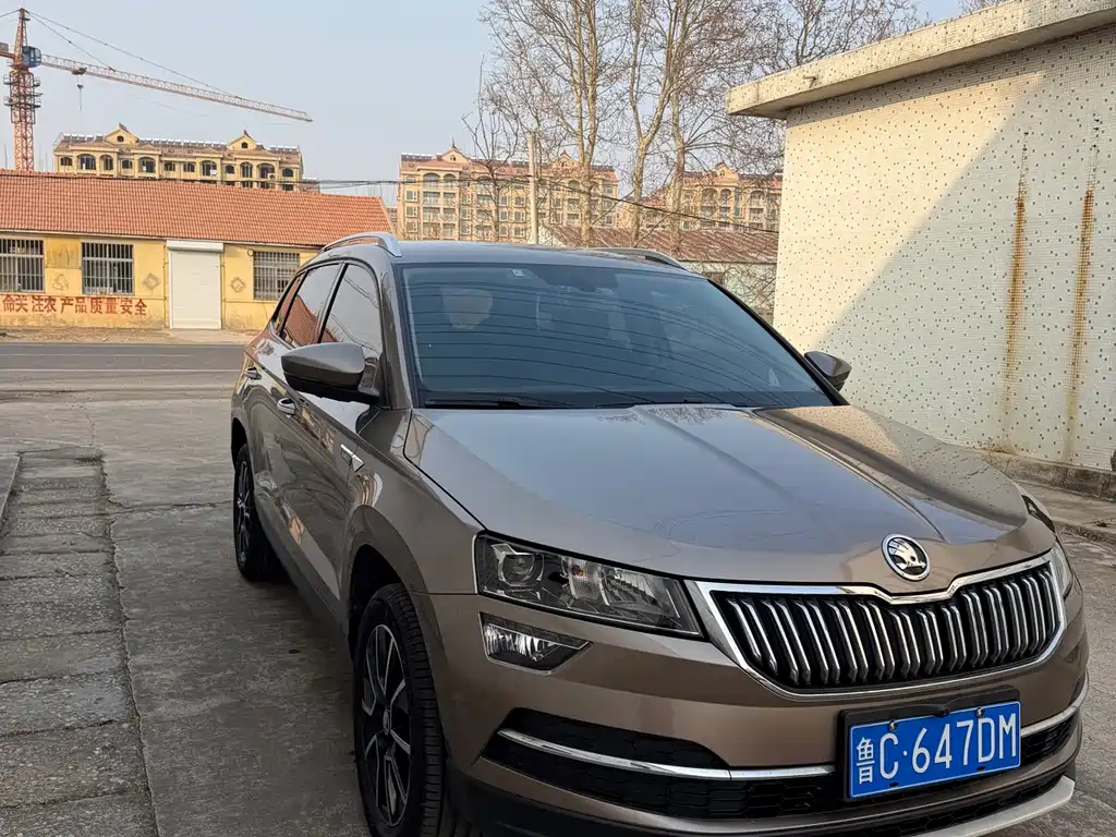 Skoda Karoq — фото 3
