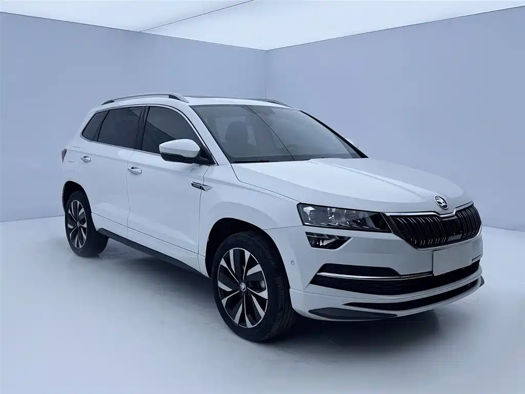 Skoda Karoq — фото 3