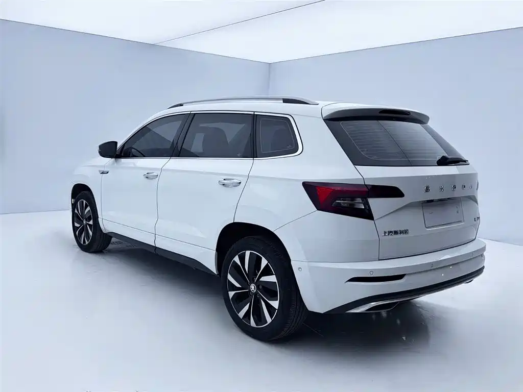 Skoda Karoq — фото 6