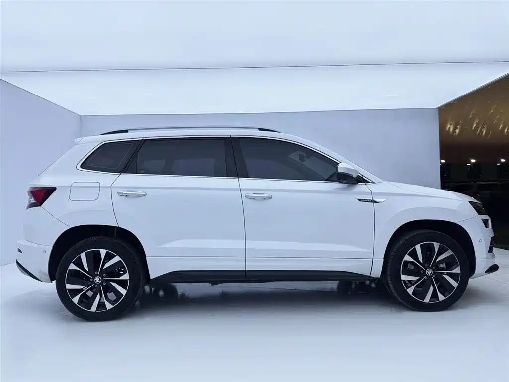 Skoda Karoq — фото 9