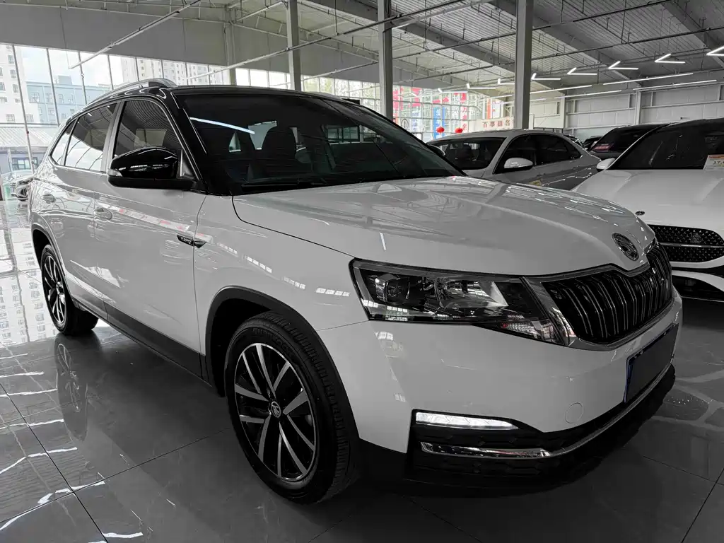 Skoda Kamiq — фото 3