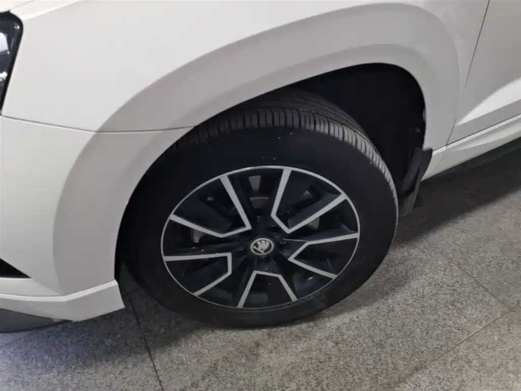 Skoda Karoq — фото 23