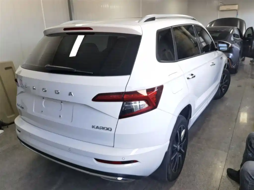 Skoda Karoq — фото 7