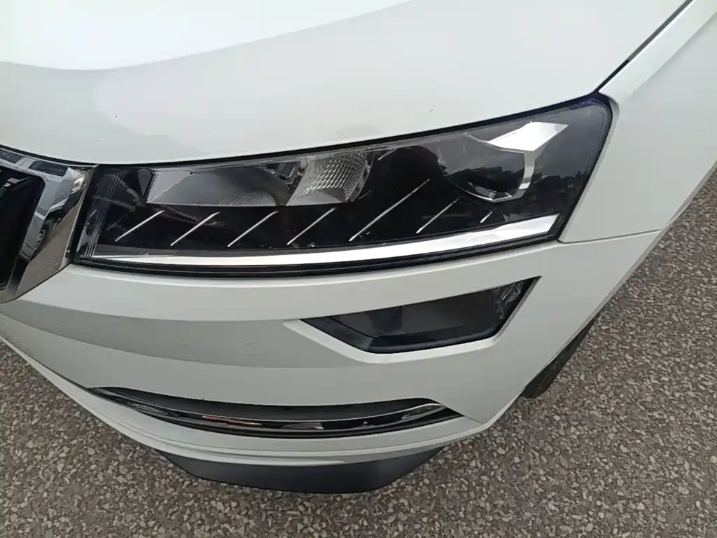 Skoda Karoq — фото 18