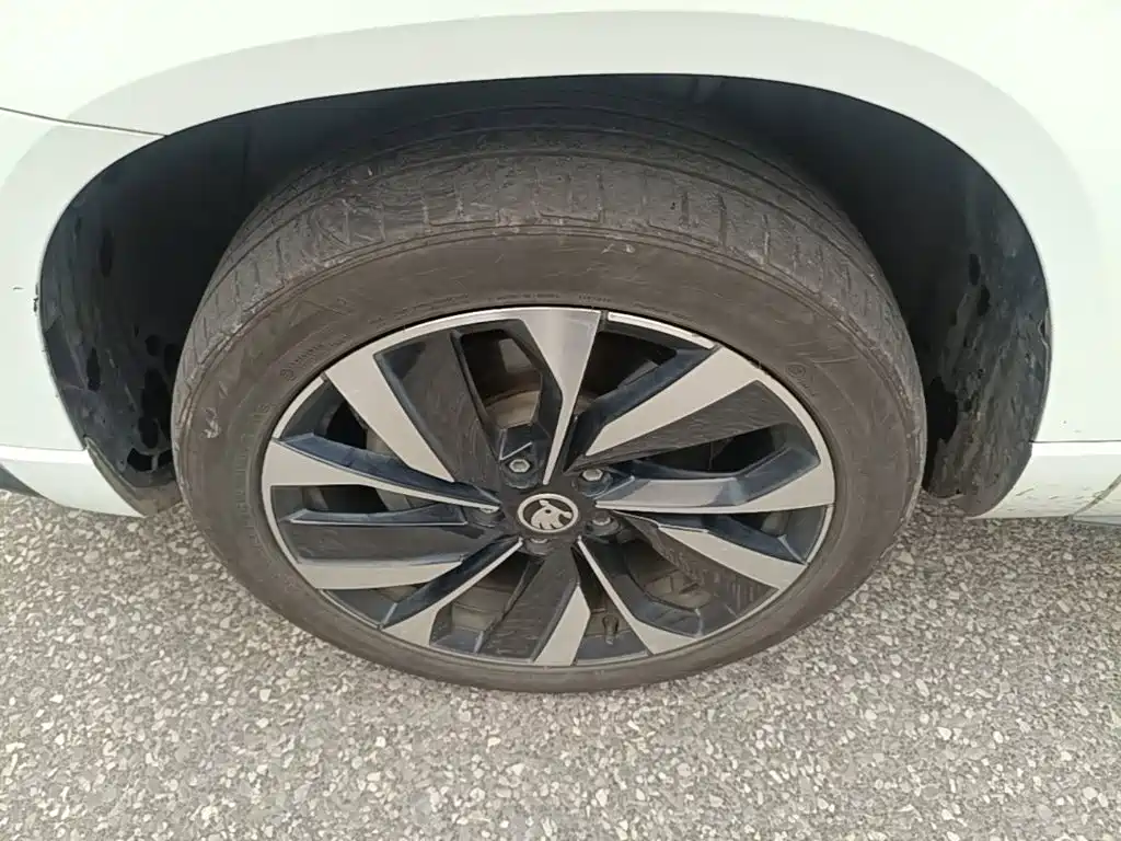 Skoda Karoq — фото 25