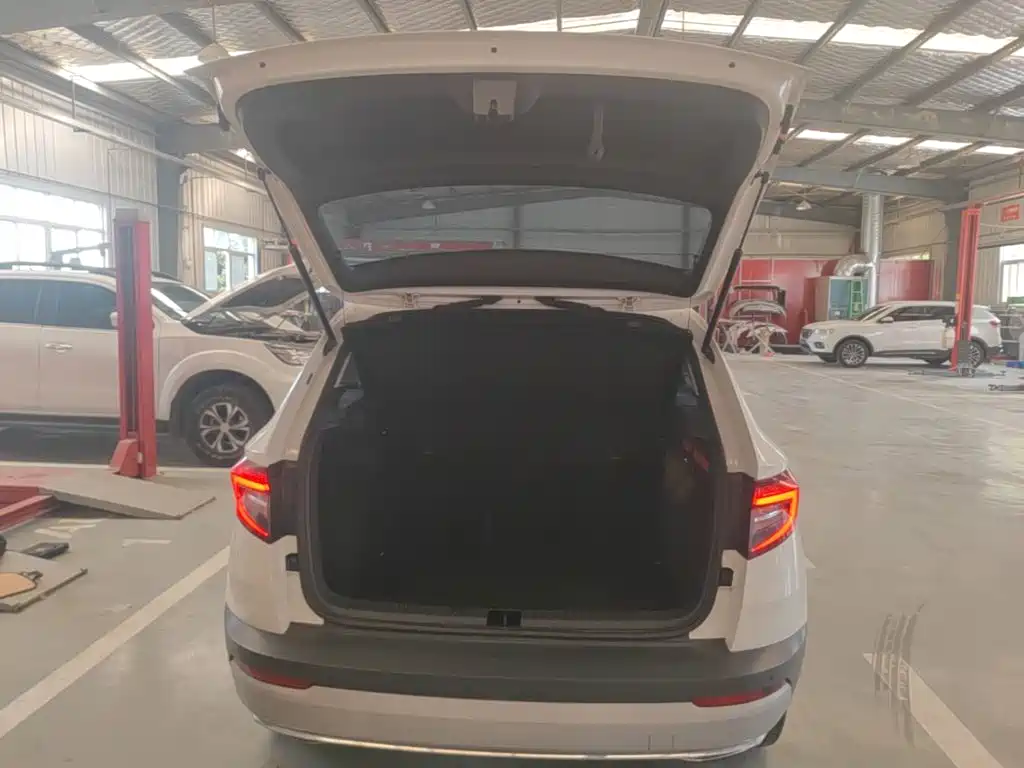 Skoda Karoq — фото 19