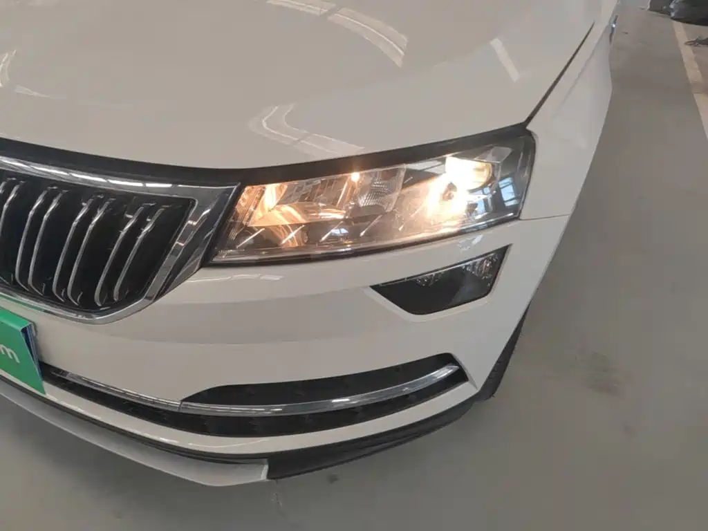 Skoda Karoq — фото 24