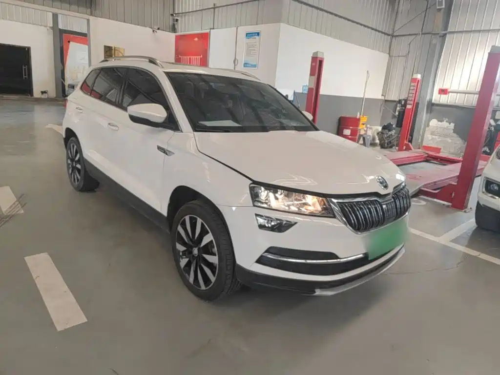 Skoda Karoq — фото 4