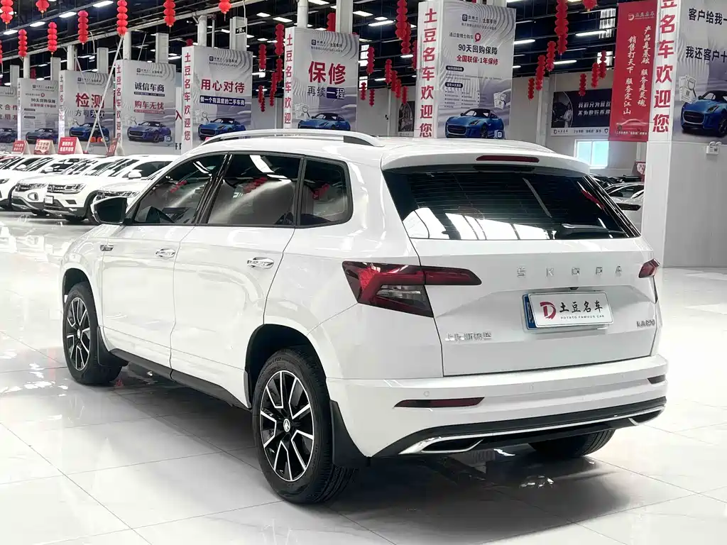 Skoda Karoq — фото 6