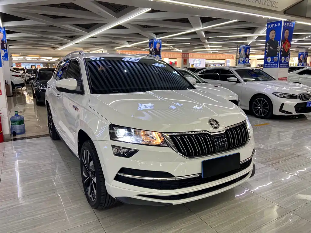 Skoda Karoq — фото 3