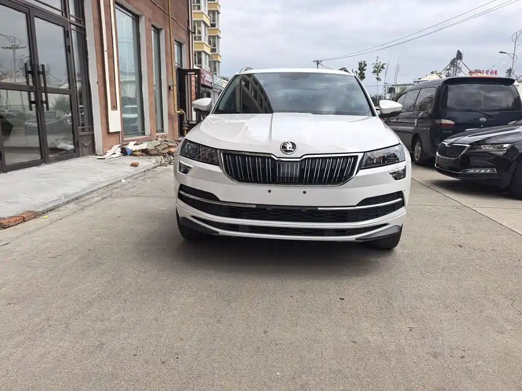 Skoda Karoq — фото 2