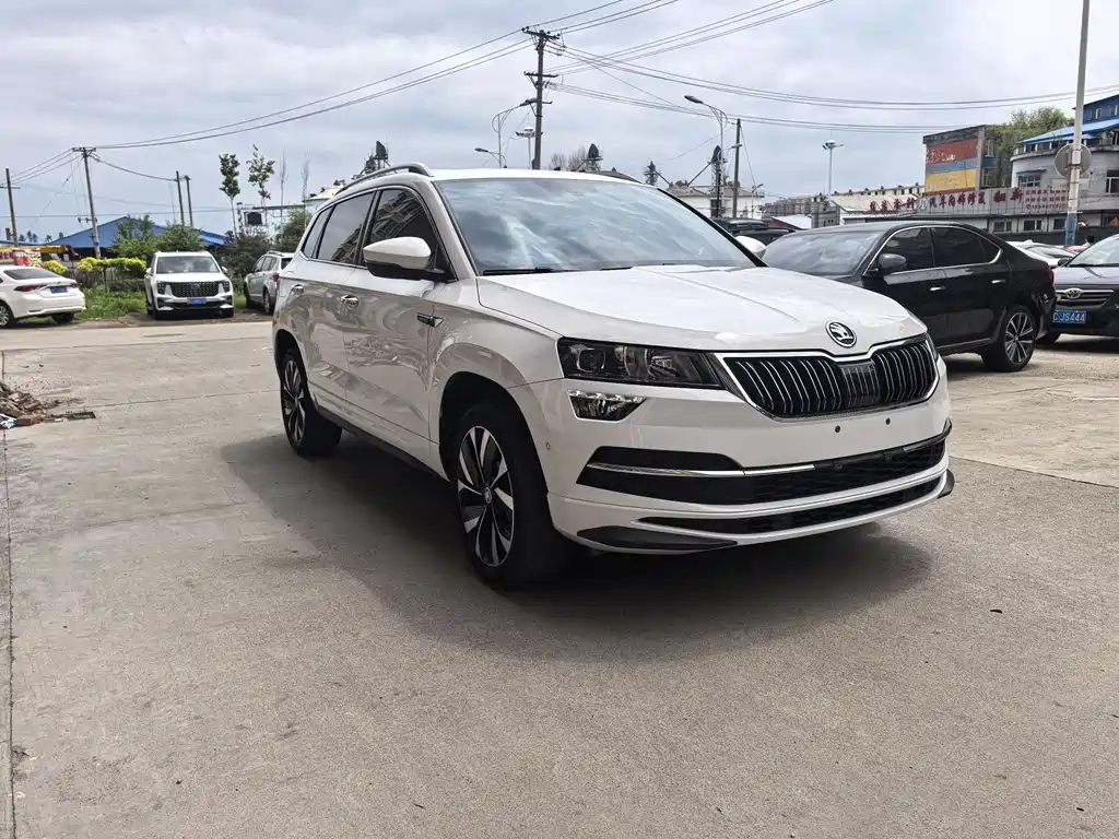 Skoda Karoq — фото 3