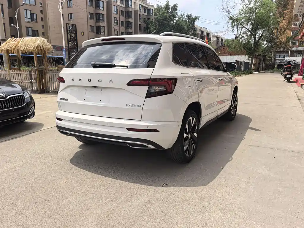 Skoda Karoq — фото 6