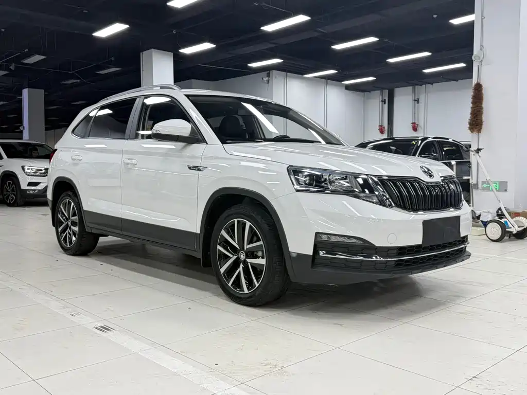 Skoda Kamiq — фото 4