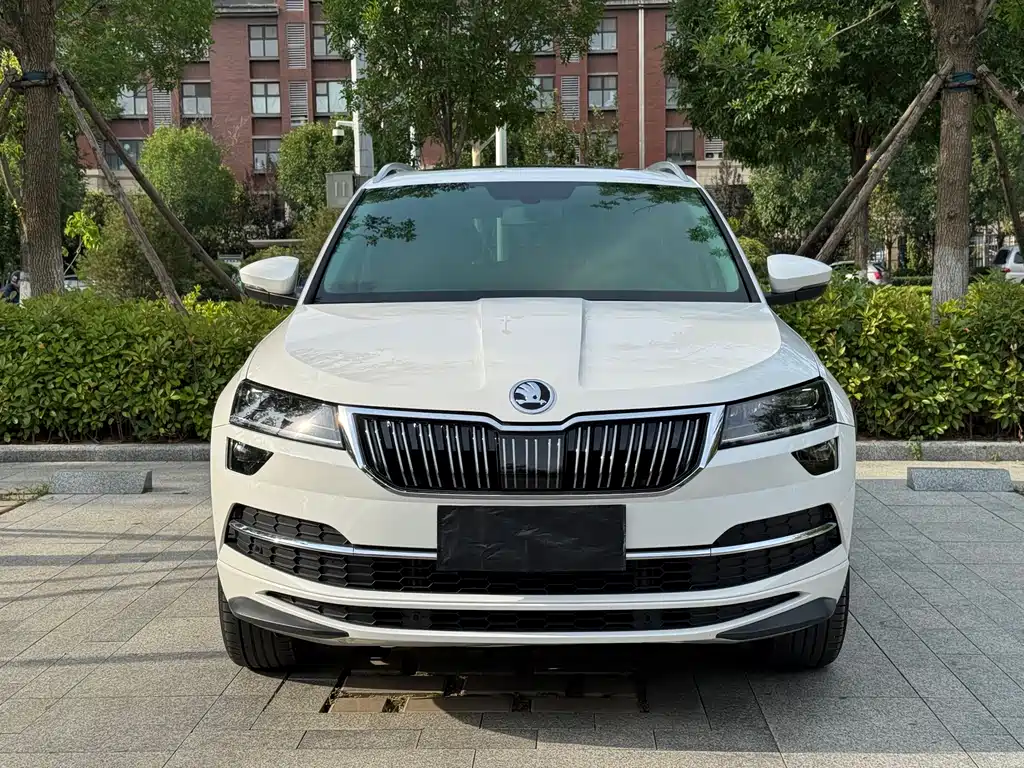 Skoda Karoq — фото 3