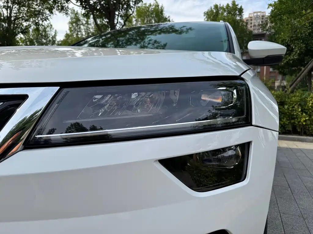Skoda Karoq — фото 5