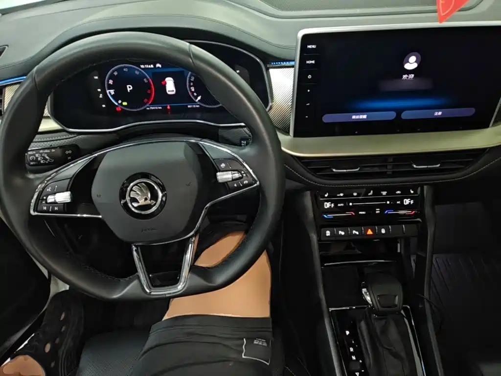 Skoda Kodiaq — фото 10
