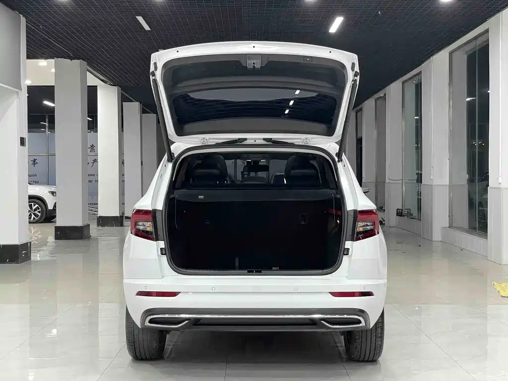 Skoda Karoq — фото 18