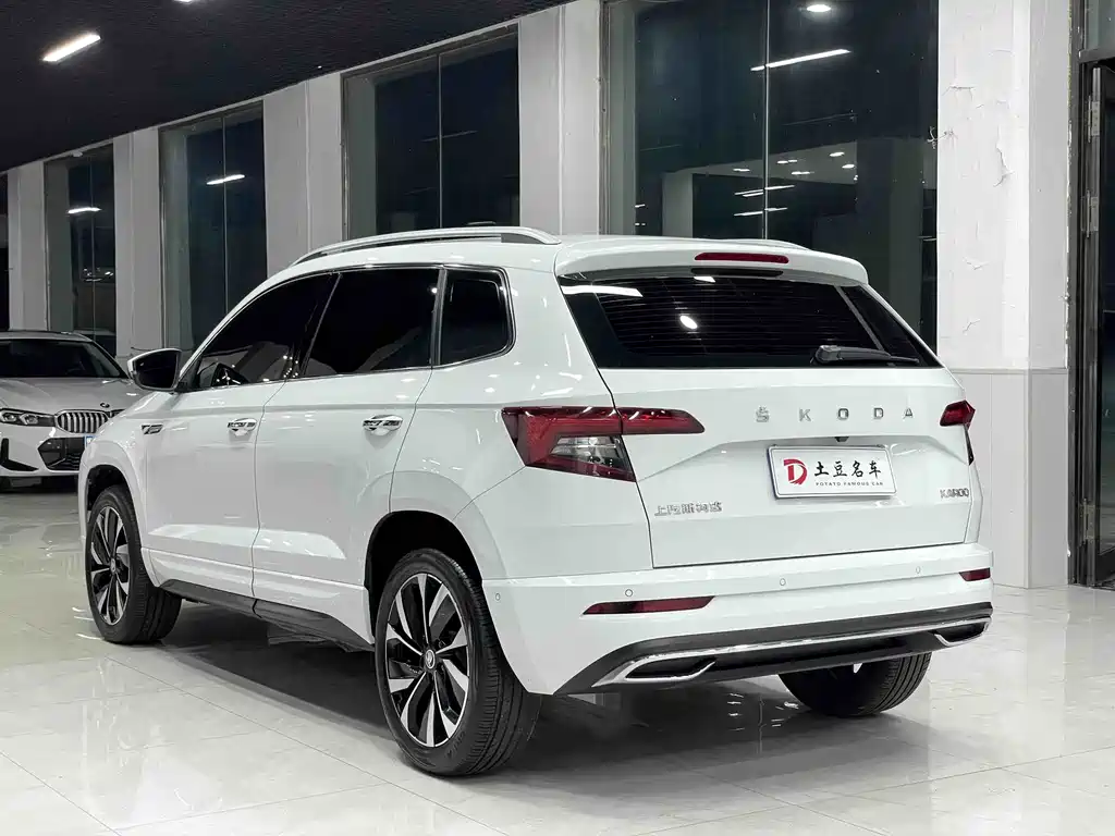 Skoda Karoq — фото 6