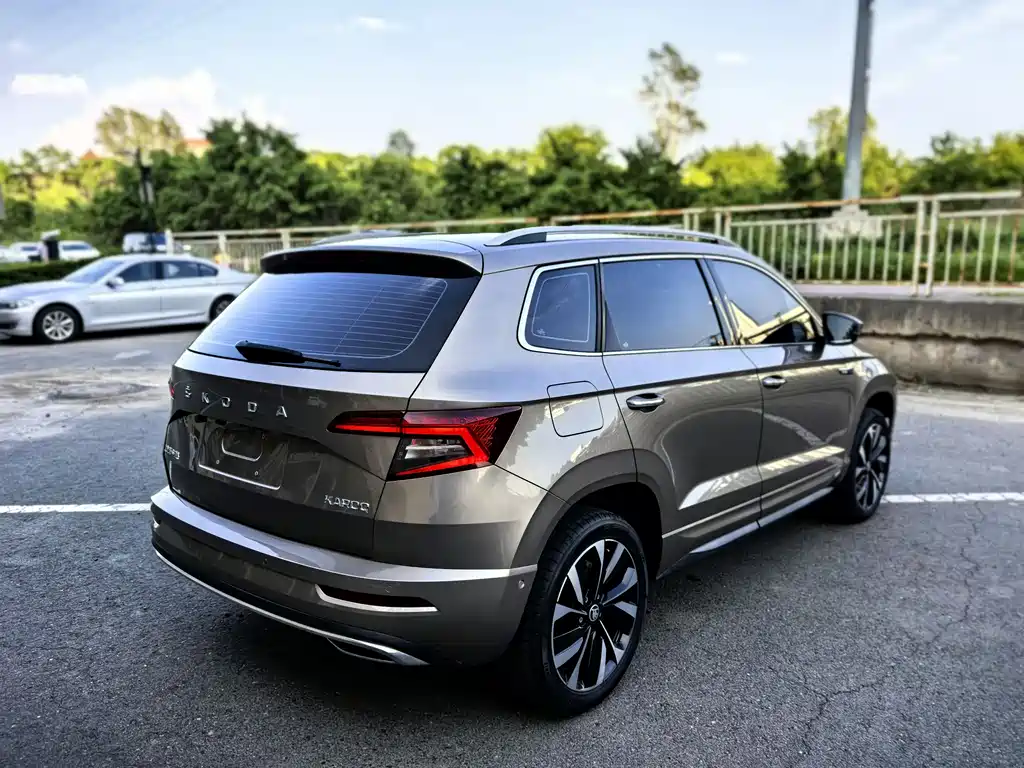 Skoda Karoq — фото 6